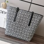 Loewe 091