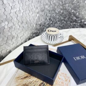 Dior 029