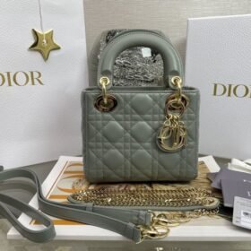 Dior 106