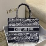 Dior 223
