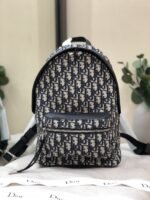 Dior 231