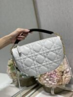Dior 247