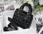 Dior 256