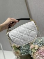 Dior 263