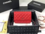 Chanel 009