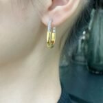 Tiffany and Co TIFFANY Look Earrings - 图片 4