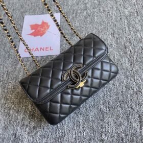 Chanel 244