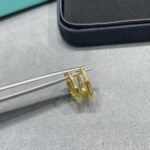 Tiffany and Co TIFFANY Look Small Earrings - 图片 2