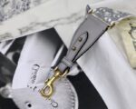 Dior 018 - 图片 2