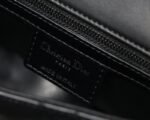 Dior 146 - 图片 2