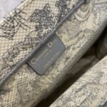 Dior 208 - 图片 2