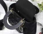 Dior 256 - 图片 2