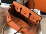 Hermes 060 - 图片 2
