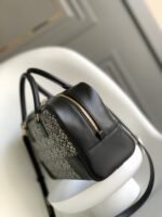 Loewe 256 - 图片 2