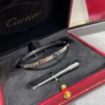 CARTIER LOVE bracelet small model 10 diamonds - 图片 3