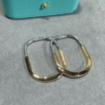 Tiffany and Co TIFFANY Look Earrings - 图片 2