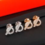 HERMES Finesse earrings - 图片 4