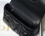 Dior 146 - 图片 3