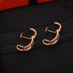 HERMES Adage earrings - 图片 3