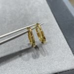 Tiffany and Co TIFFANY Look Small Earrings - 图片 3