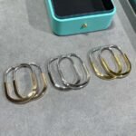 Tiffany and Co TIFFANY Look Earrings - 图片 4