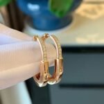 Tiffany and Co TIFFANY Look Earrings - 图片 4