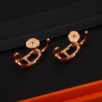 HERMES Adage earrings - 图片 4