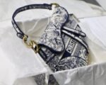 Dior 171 - 图片 5