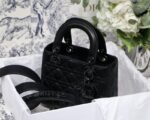 Dior 243 - 图片 5