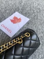 Chanel 244 - 图片 5