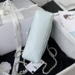Chanel 366 - 图片 5