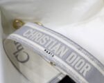 Dior 019 - 图片 6