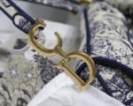 Dior 171 - 图片 6