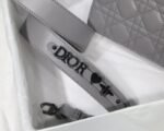 Dior 281 - 图片 6