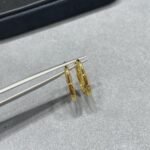 Tiffany and Co TIFFANY Look Small Earrings - 图片 2