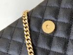 YSL 230 - 图片 6
