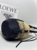 Loewe 223 - 图片 6