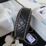 Chanel 251 - 图片 6