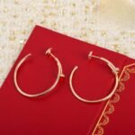 CARTIER Juste un Clou hoop earrings large model diamonds - 图片 7