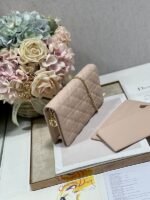 Dior 074 - 图片 7