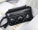 Dior 146 - 图片 7