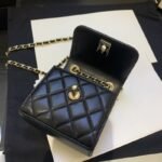 Chanel 071 - 图片 7