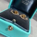Tiffany and Co TIFFANY T Smile Mini Earrings - 图片 4