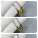 Tiffany and Co TIFFANY Look Earrings - 图片 4