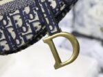 Dior 163 - 图片 8