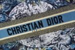 Dior 227 - 图片 8