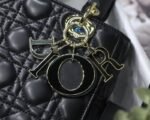 Dior 256 - 图片 9