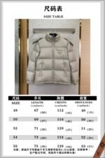 PRADA feather down jacket beige - 图片 10