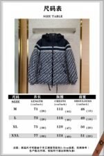 Dior Reversible Down Jacket - 图片 10