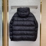 LV Gradient Jacquard Down Jacket - 图片 2